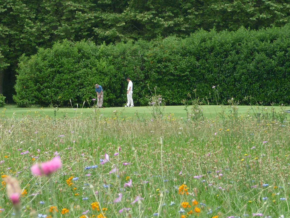 {Golf Club de Périgueux} Les drapeaux de l'école de Golf de Périgueux